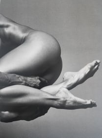 Howard Schatz, Body Form, 1st Edition, 2000