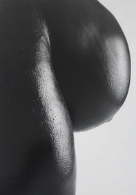 Howard Schatz, Body Form, 1st Edition, 2000