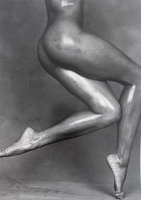 Howard Schatz, Body Form, 1st Edition, 2000