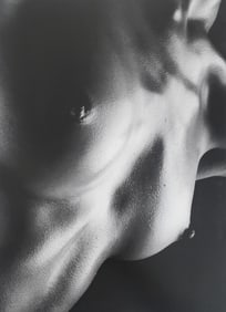 Howard Schatz, Body Form, 1st Edition, 2000