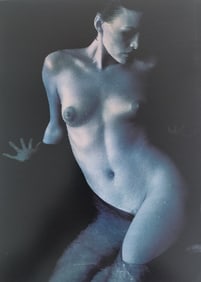 Howard Schatz, Body Form, 1st Edition, 2000