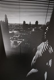 Lucien Clergue, Visions sur le Nu, 1982