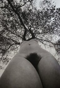 Lucien Clergue, Visions sur le Nu, 1982