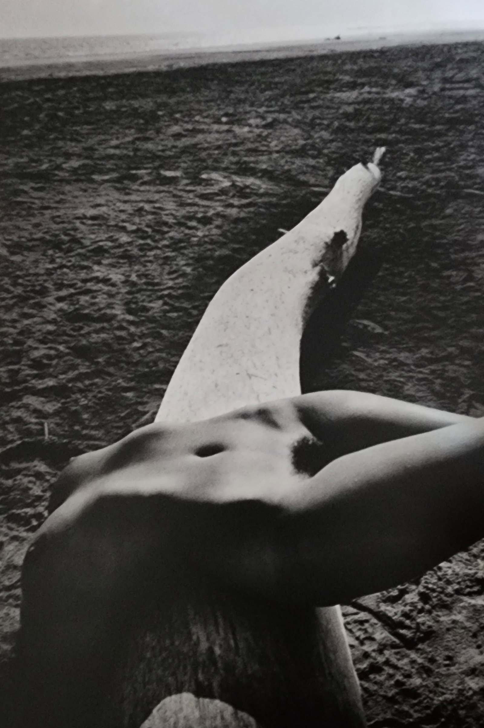 Lucien Clergue, Visions sur le Nu, 1982: Photographer: Lucien Clergue (France, 1934 - 2014) - renowned French photographer with a diverse body of work, he is perhaps best known for his dynamic female nude studies in and around water which of