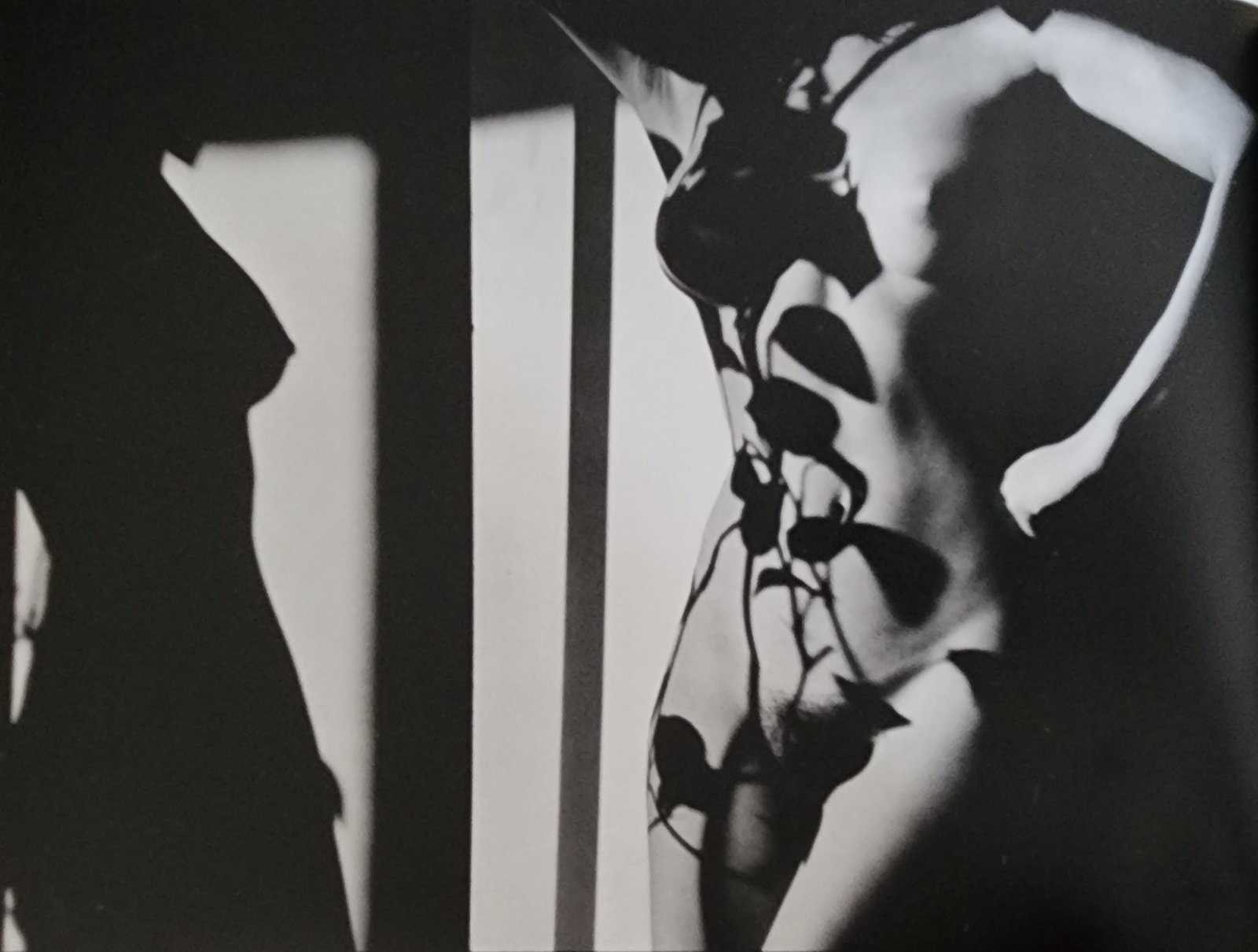 Lucien Clergue, Visions sur le Nu, 1982: Photographer: Lucien Clergue (France, 1934 - 2014) - renowned French photographer with a diverse body of work, he is perhaps best known for his dynamic female nude studies in and around water which of