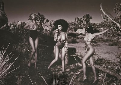 Manfred Baumann 'Sexy Woman' 2012