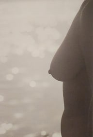 The Art of Nude Female, 1995