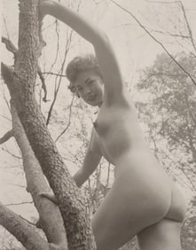 The Art of Nude Female, 1995