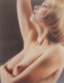 The Art of Nude Female, 1995