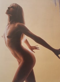 The Art of Nude Female, 1995