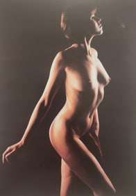 The Art of Nude Female, 1995