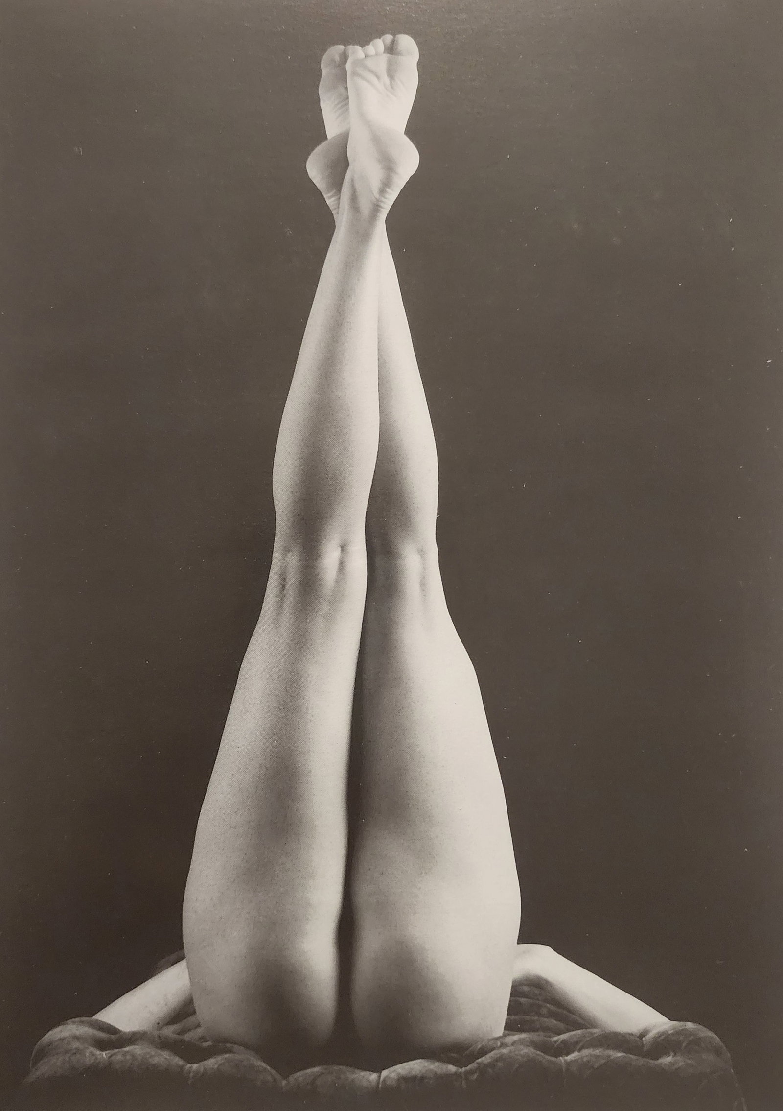 The Art of Nude Female, 1995: Artist/Photographer: Various photogrphersTitle/Subject: The Art of Nude Female Title/Subject: 1995 Type Of Print: Authentic Sheet Fed Photogravure/Heliogravure. Date Of Print: 1995 Paper: Medium weigh