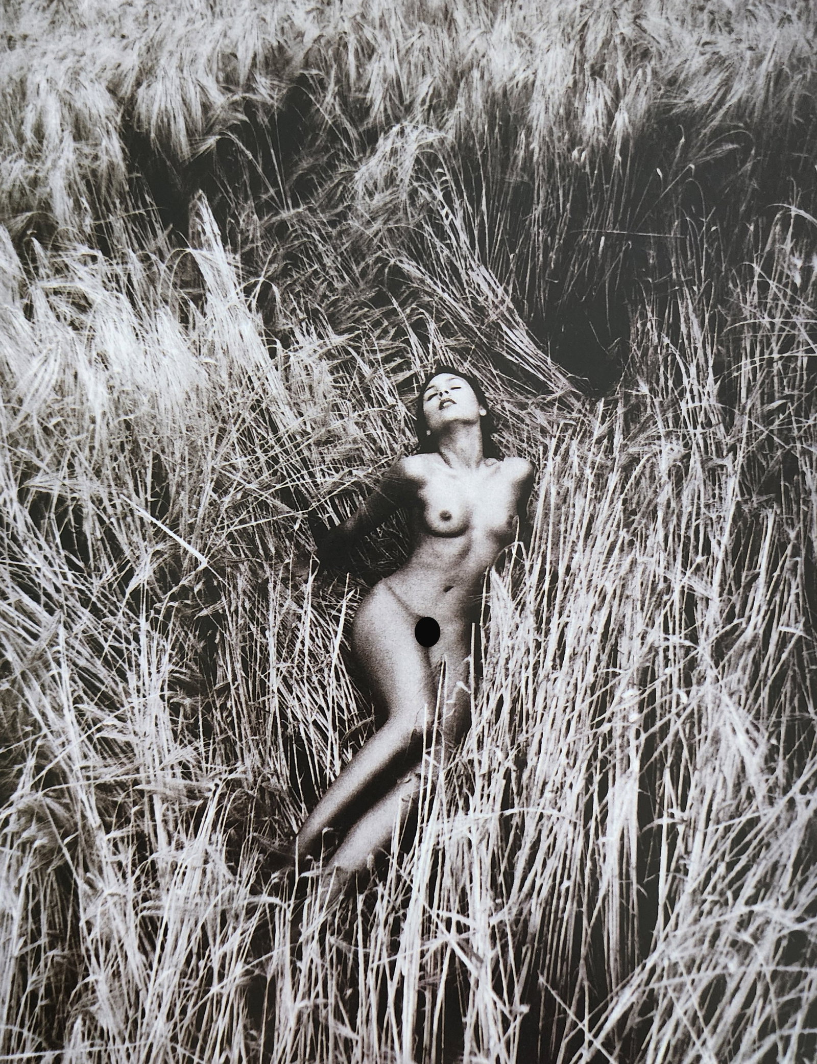 Jens Bruggemann, Female Nude, 2000: Artist/Photographer: Jens Bruggemann Title/Subject: Female Nude Type Of Print: Authentic Sheet Fed Photogravure/Heliogravure. Date Of Print: 2000 Paper: Medium weight, satin/matte finish. Print Origin