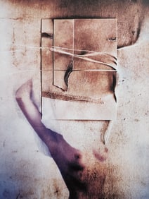 Sensual Nude Female, 2003