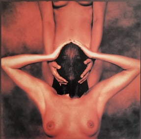 Sensual Nude Female, 2003