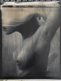 Sensual Nude Female, 2003