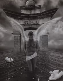 Vincent O'Byrne 'Exotic Fantasy' 2005