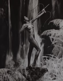 Vincent O'Byrne 'Exotic Fantasy' 2005