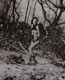 Wolf Muller Funke 'Exotic Fantasy' 2005