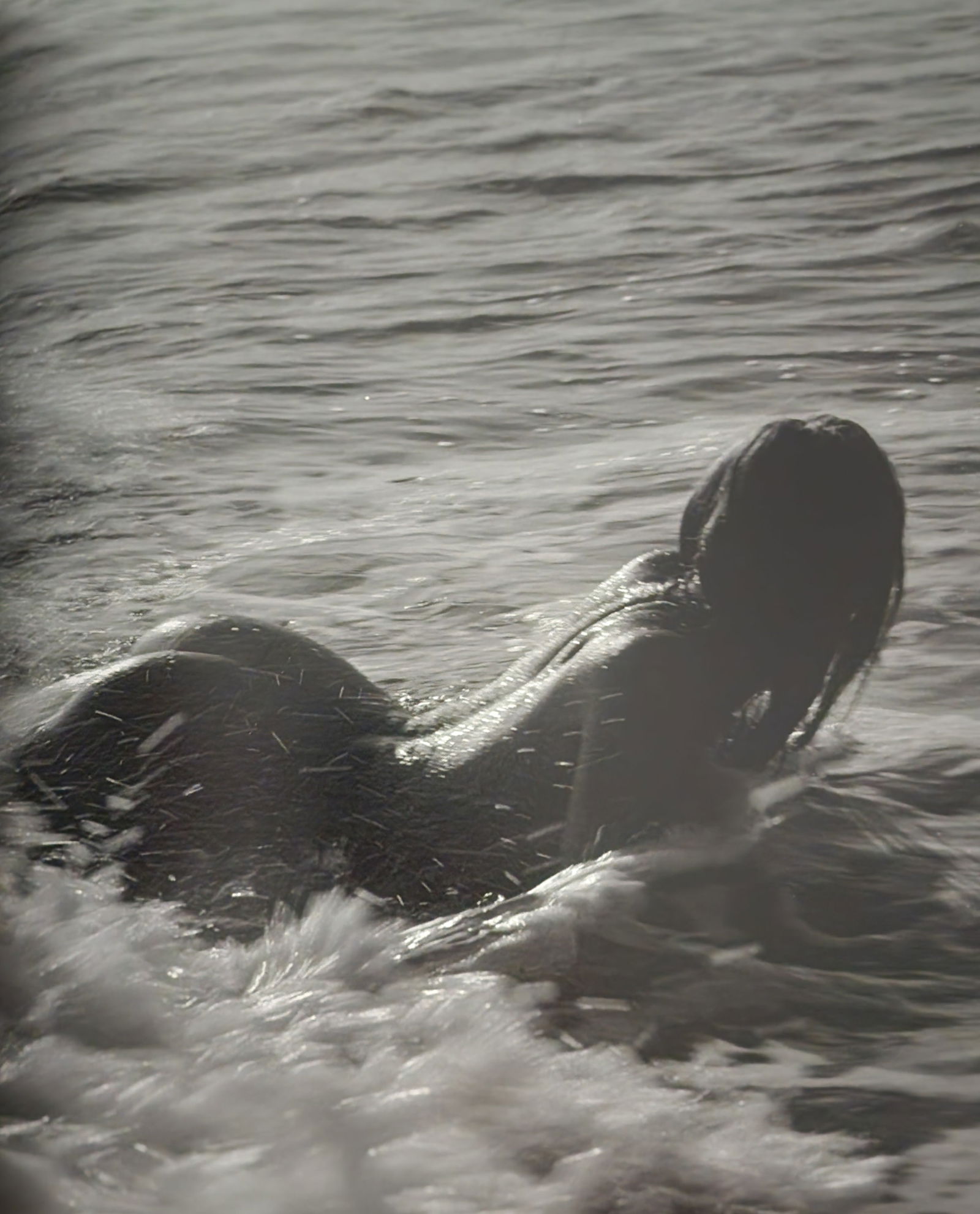 Guido Argentini, 'Silver nude' 2004: Photographer: Guido Argentini (1966-Present) born in Florence, Italy. Gave up studying medicine after three years at the University of Florence before deciding to turn his passion for photography into