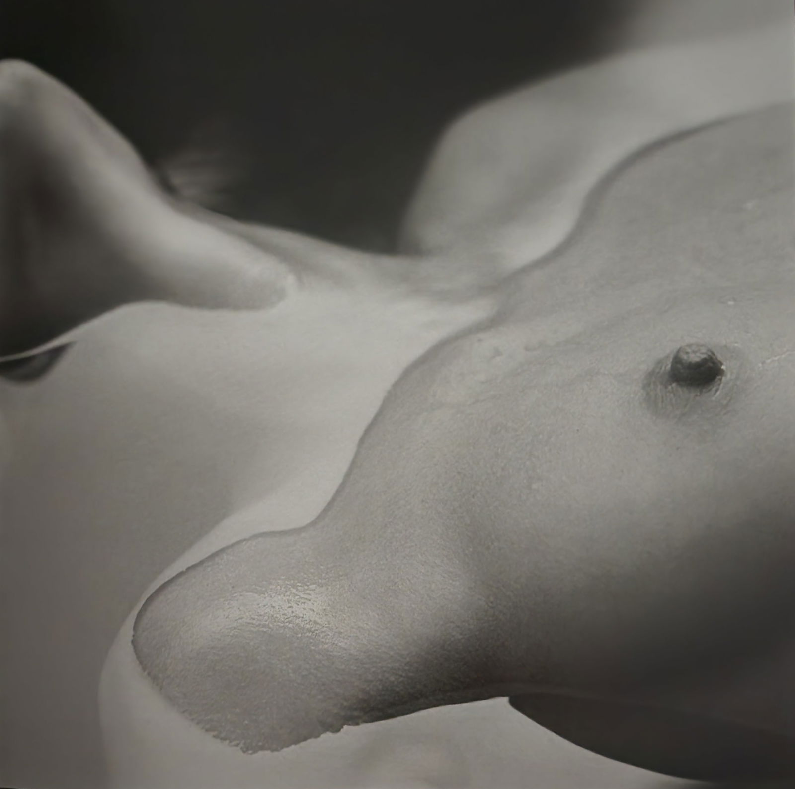 Guido Argentini, 'Silver nude' 2004: Photographer: Guido Argentini (1966-Present) born in Florence, Italy. Gave up studying medicine after three years at the University of Florence before deciding to turn his passion for photography into