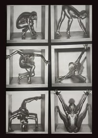 Guido Argentini, 'Silver nude' 2004