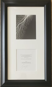 Hiroshi Sugimoto, 'Lightning Fields' I, With Hand Signed/Numbered Cutout
