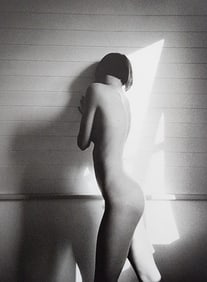 Elegant Nudes and Models, 1995