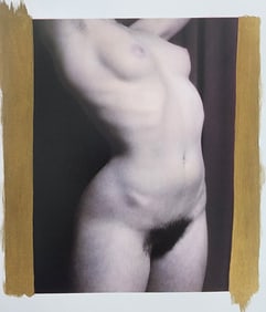 Elegant Nudes and Models, 1995
