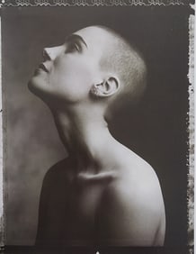 Elegant Nudes and Models, 1995