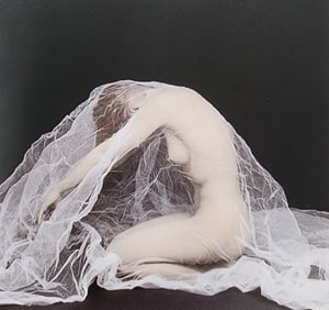 Elegant Nudes and Models, 1995