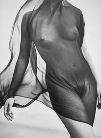 Elegant Nudes and Models, 1995