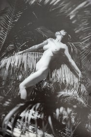 Hisaka Kojima, L.A Nude, 1993