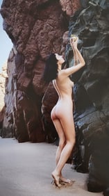 Stefan Soell, Ocean Beauty, 2018