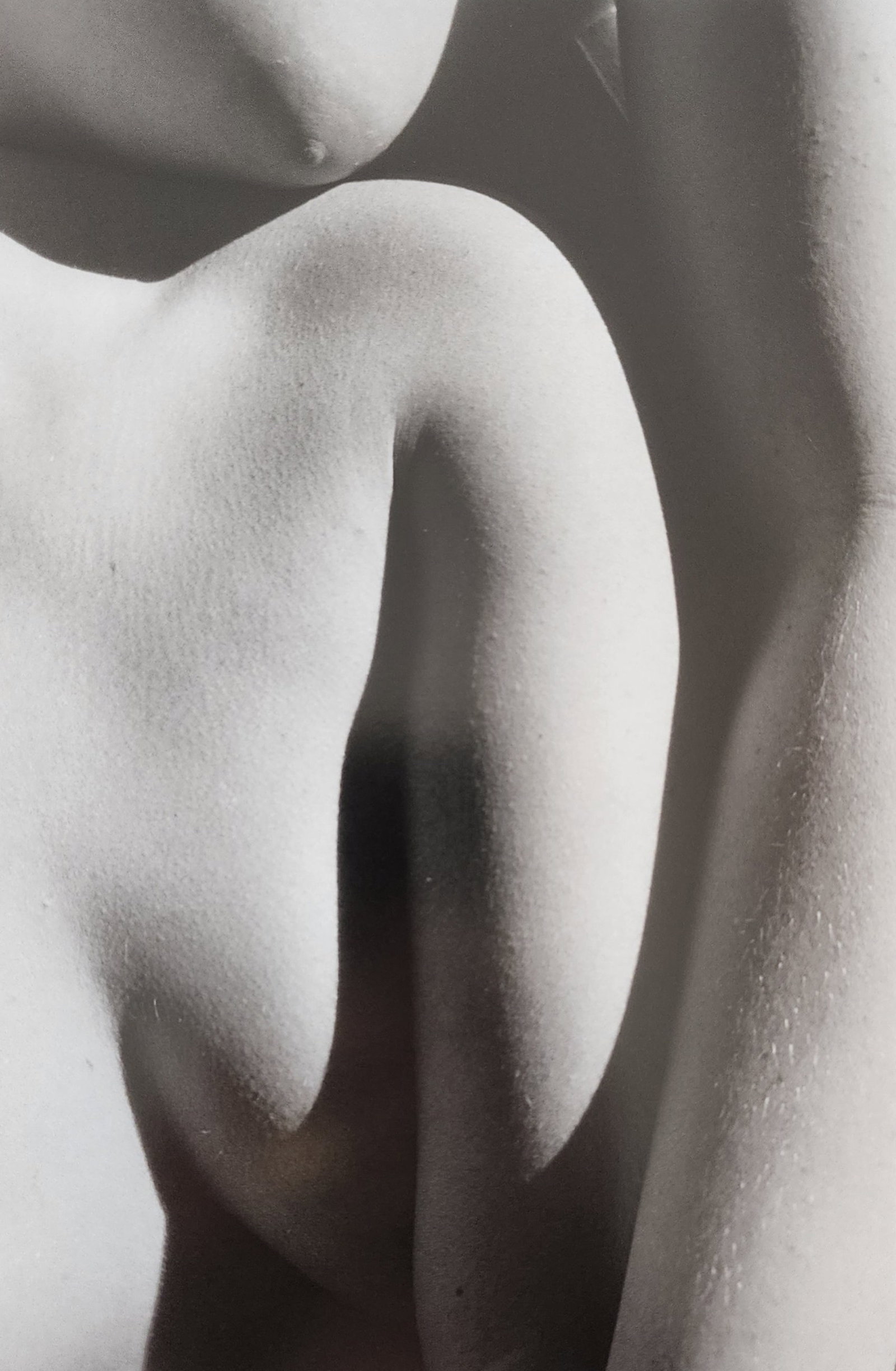 The World's Top Nude Photograhpy, 2007: Artist/Photographer: Various Photogrphers Title/Subject: The World's Top Nude Photograhpy Type Of Print: Authentic Sheet Fed Photogravure/Heliogravure. Date Of Print: 2007 Paper: Medium weight, satin/