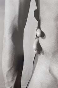 The World's Top Nude Photograhpy, 2007