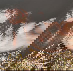 The World's Top Nude Photograhpy, 2007