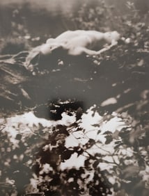 The World's Top Nude Photograhpy, 2007