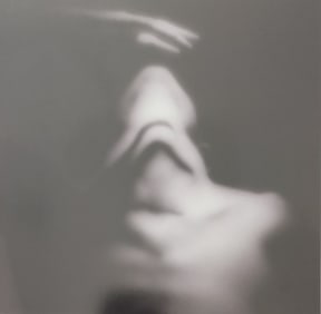 The World's Top Nude Photograhpy, 2007