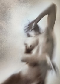 The World's Top Nude Photograhpy, 2007