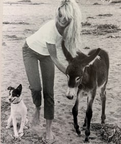 Brigitte Bardot, For ever young, 1994