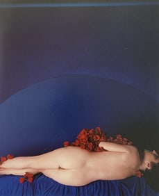 Elegant Nudes and Models, 1995