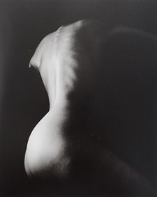 Elegant Nudes and Models, 1995