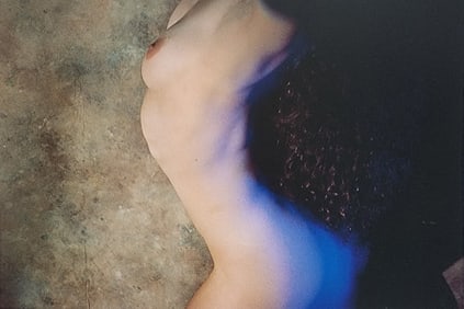 Elegant Nudes and Models, 1995