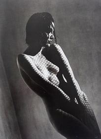 Elegant Nudes and Models, 1995