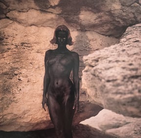 Hisaka Kojima, L.A Nude, 1993