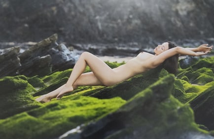 Stefan Soell, Ocean Beauty, 2018