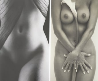 The World's Top Nude Photograhpy, 2007