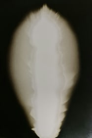 Hiroshi Sugimoto, In Praise of shadows, 980817