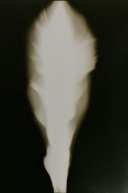 Hiroshi Sugimoto, In Praise of shadows, 980809